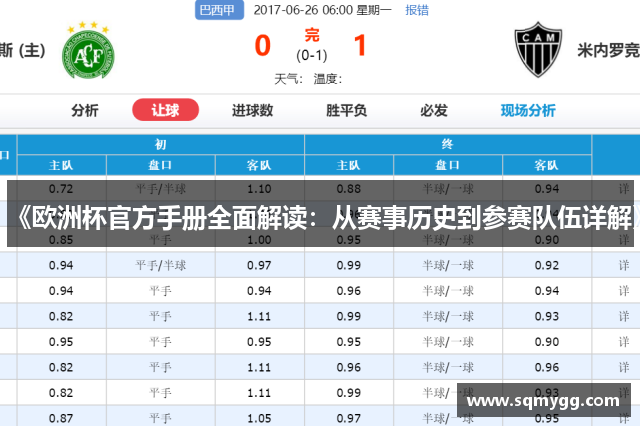 《欧洲杯官方手册全面解读：从赛事历史到参赛队伍详解》
