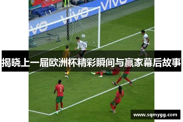揭晓上一届欧洲杯精彩瞬间与赢家幕后故事