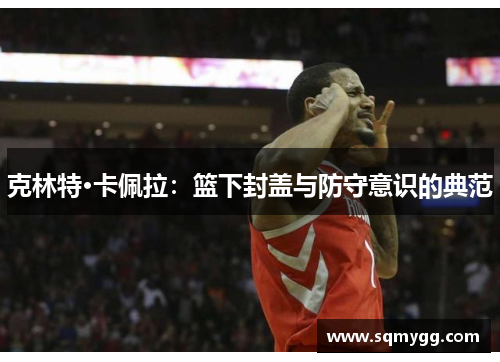 克林特·卡佩拉：篮下封盖与防守意识的典范