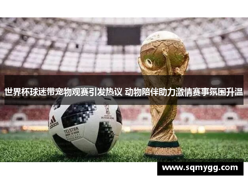 世界杯球迷带宠物观赛引发热议 动物陪伴助力激情赛事氛围升温