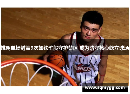 姚明单场封盖9次如铁壁般守护禁区 成为防守核心屹立球场